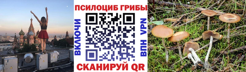 маркетплейс какой сайт  хочу наркоту  Элиста  Псилоцибиновые грибы мицелий 