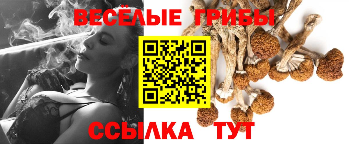Элиста  Псилоцибиновые грибы мухоморы  Вход с VPN 