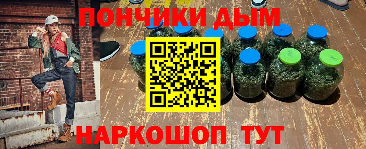 Бошки Шишки марихуана Элиста